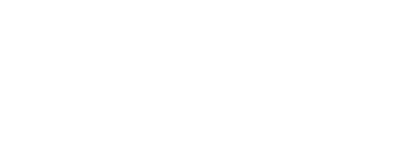 logo Wentex